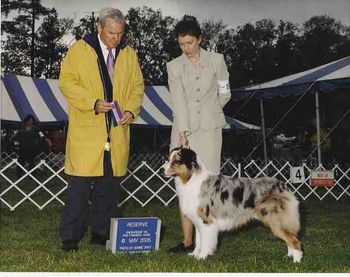 Reserve winners dog at Chesapeake Virginia Dog Fanciers Association, May 1,2005, under Judge Robert Slay
