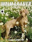 The Weimaraner Today by Vicky Bambridge (Ringpress Books, England 1991) 158 pages.
