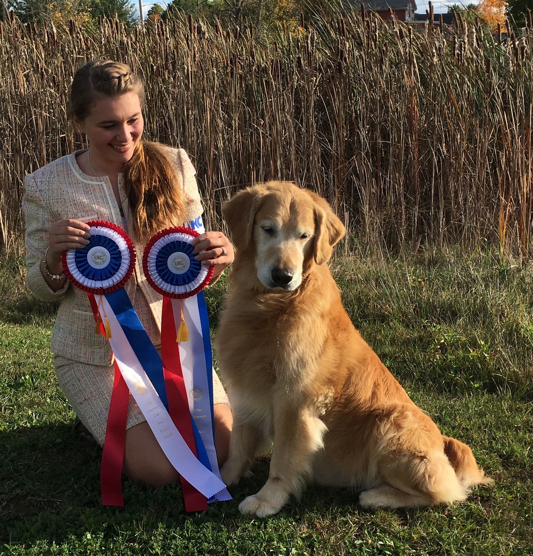 Ukc golden clearance retriever