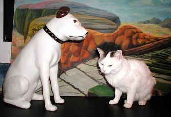 Plastic RCA Dog Nipper (who has happily been a part of The Tokens show for many years under the name Bonus) enjoys his time under the spotlight. Spike the Cat (wannabe Token mascot) sits patiently, awaiting her turn...
