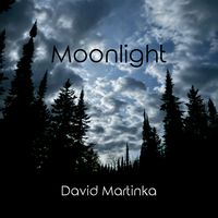 Moonlight by David Martinka