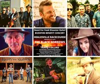 Need for Feed Bushfire Benefit Concert