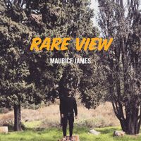 Rare View by Maurice James