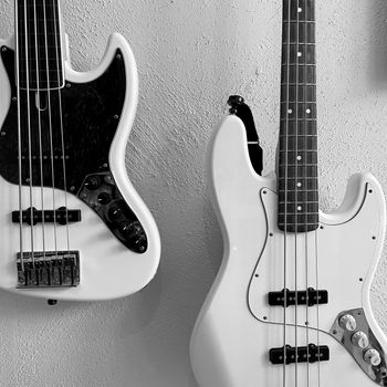 Fretted or fretless, active of passive.
