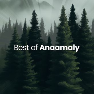 Best of Anaamaly Spotify Playlist