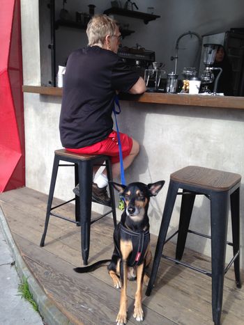 Coffee with Cain in Tijuana
