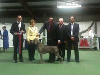 Docker winning 2012 Contest Of Champions. Judges Mr D Bowey (VIC), Mrs P Campbell (WA), Mr G Love (SA) and Mr A Lim (SA)
