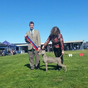 Sam winning Baby Puppy In Group
