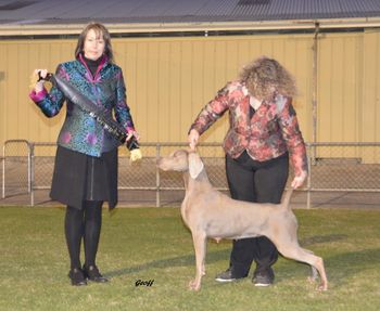 Charli winning BEST IN GROUP under Ms Katrina Santas (NSW)
