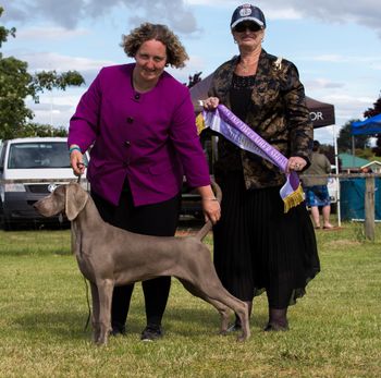 Q winning BABY PUPPY IN SHOW at 5.5 months, her last show as a Baby Puppy.
