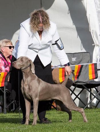 Sparks at Wei National at 7 months old 4th Minor Puppy Dog
