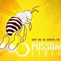 Possum Livin' - What Are We Working For - Released 2014  Recording, Mixing, Mastering

