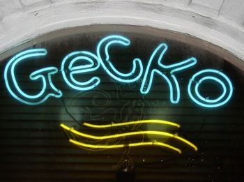 yes, i said gecko not geiko
