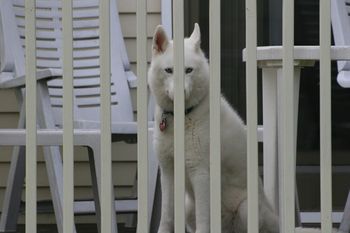 "I see you!" said Ashley!
