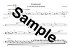 Score: Ceremonial - for Violoncello and Sound FX