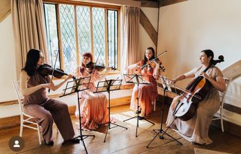 Chiqas_Music performing at a wedding. Photo by Recebba Carpenter Photography.
