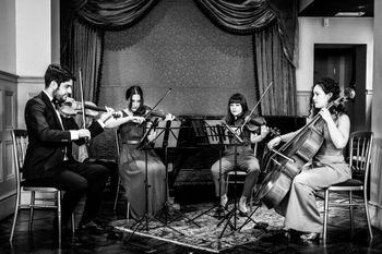 London Strings Quartet.
