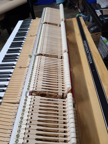Yamaha Model G1 Grand for Sale
