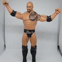 WWE The Rock Mattel If you smell what the rock is cookin