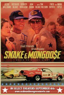 Snake and Mongoose
