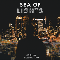 Sea of Lights by Joshua Bellingham