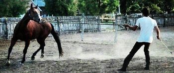 For awhile our son Clark trained horses for local horse breeder Lynn Walk. He traded part of his wages for this registered quarter horse. He's worked as a cowboy the past two summers as did his older brother Nate. "Grow Up to be Cowboys" was inspired by my boys.
