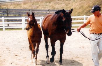 SPS Fenja & Dynamic HHF - AHS Inspection - July 2003
