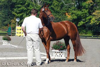 NEDA Breed Show 2007
