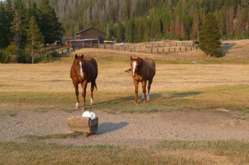 Near Phillipsburg, MT
