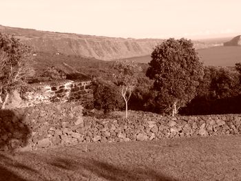 Faial, Azores
