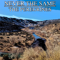 Never The Same by The Peregrines