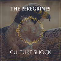 Culture Shock by The Peregrines