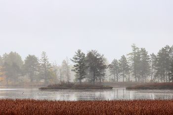 Seney Wildlife Refuge
