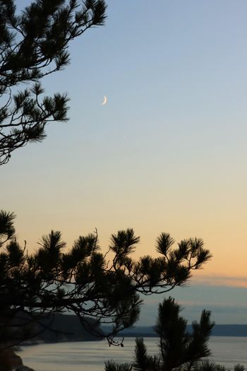 2021-Pictured Rocks - Miners Castle Moon

