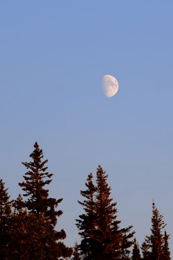 2022-IRNP-Isle Royale Moon
