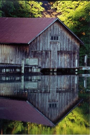 2003-Tranquil Morning
