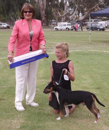 Wally winning best puppy in show (Australian Champion)
