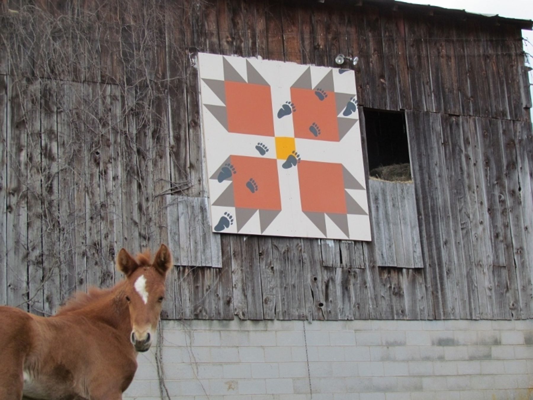 Hudson's Quarter Horses And Paints