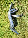 NISSAN COMP STAINLESS STEEL HEADER