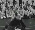 New York Aikikai 20th Anniversary Seminar DVD - featuring classes by Doshu K. Ueshiba and Shihankai 