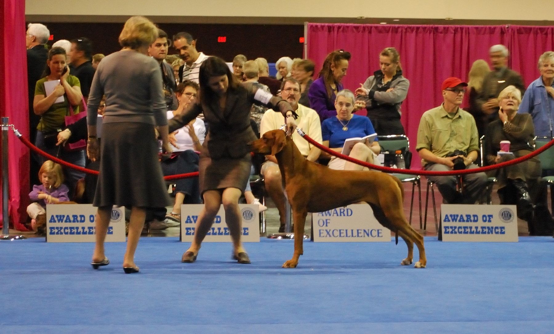 Palmetto ridgebacks store