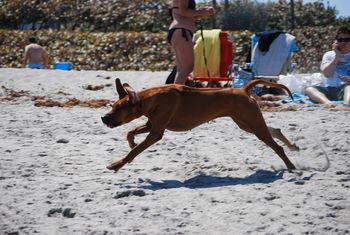 Running on the sand
