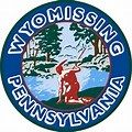 Wyomissing Summer Block Party