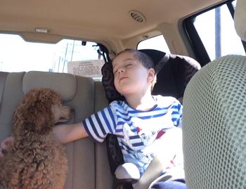 Car rides offer an excellent opportunity for a nap, say Flambeau & Anthony
