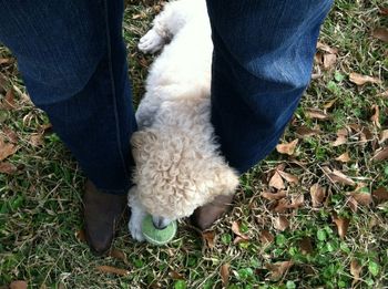 Chewing on a ball on mama's foot
