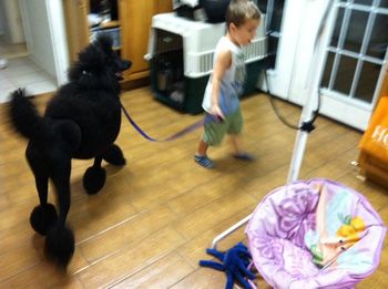 My 3 yr old son playing with Jacki here. They're on the train track headed to see Mickey Mouse. :) I can say with confidence that Jacki enjoyed this attention from him. She seems to like children and attention.
