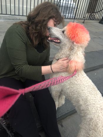 Clover greets tourists and locals alike
