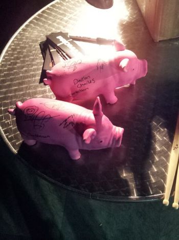 The Aristocrats' pigs, Edinburgh 2014
