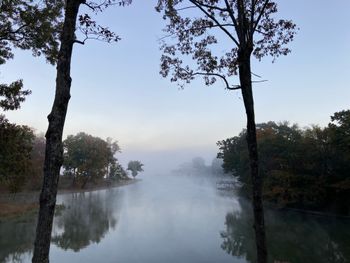 Early morning fog
