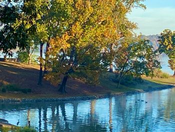 Like the great blue heron at bottom left, contemplating what the day might hold
